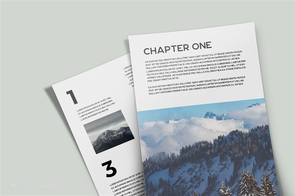 精美海报a4宣传单样机