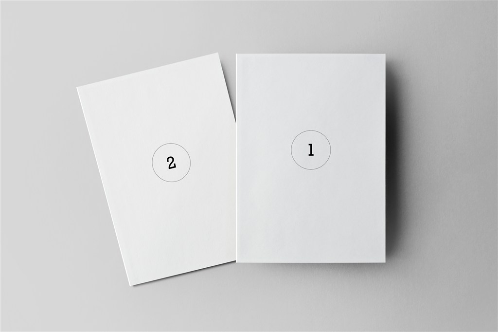 宣传单DM单页样机智能模板