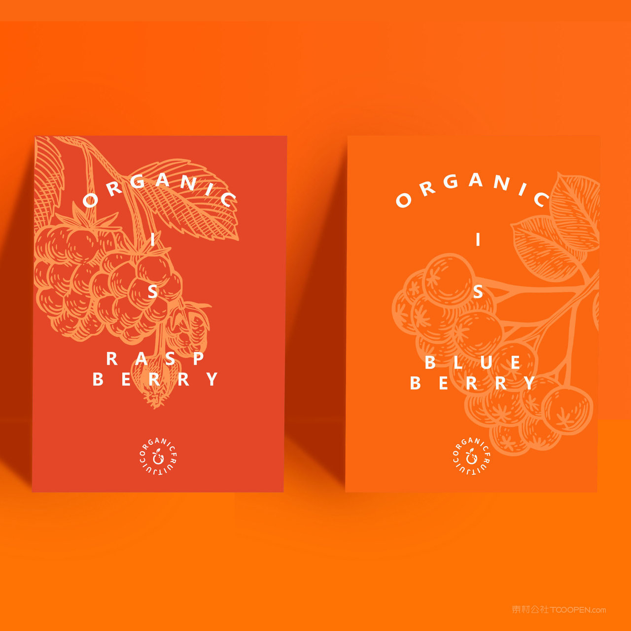 果汁品牌VI海报宣传单贴图样机